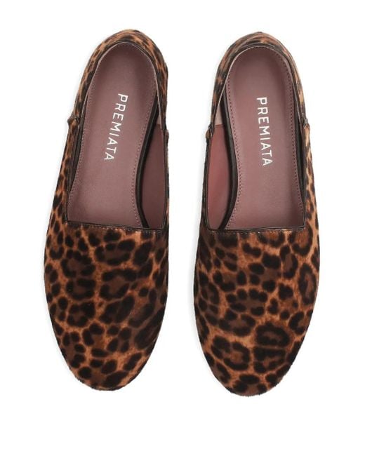 Premiata Brown Leopard-Print Ballet Flats