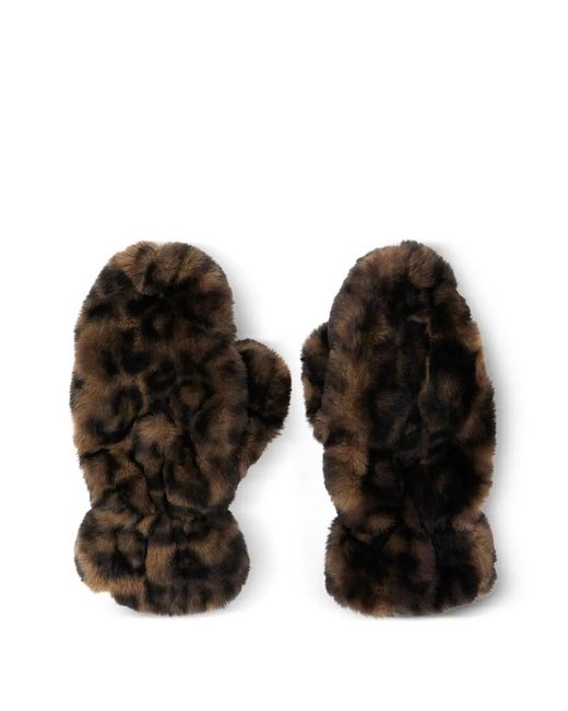 Apparis Black Leopard-Motif Gloves