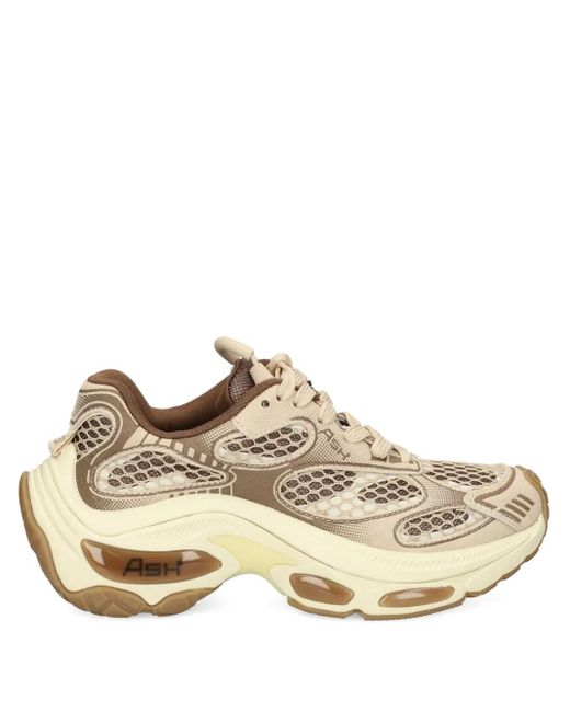 Baskets Dragon Ash en coloris Brown