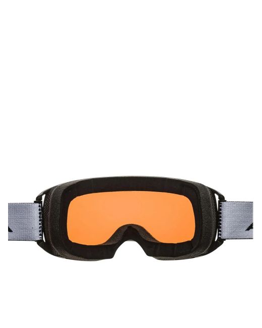 Alpina Black Arris Ski Googles