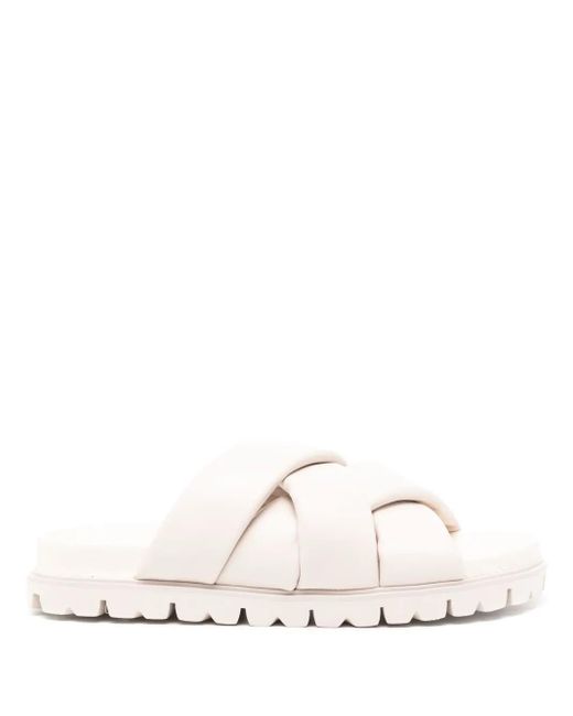 Senso White Ian Slides