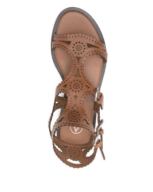 Ash Brown Paprika Sandals