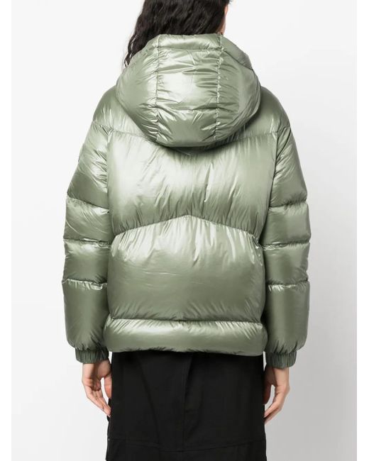 Woolrich Green Aliquippa Short Puffer Jacket