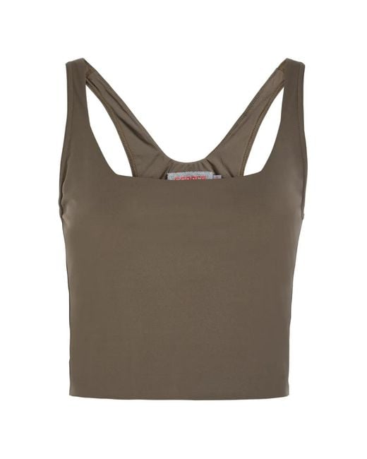 Spense Brown Martina Square-Neck Tank Top