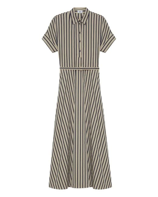 Adam Lippes Gray Sadie Striped Poplin Maxi Dress
