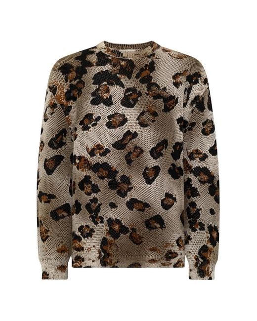 Laneus Brown Leopard Print Knitted Jumper for men