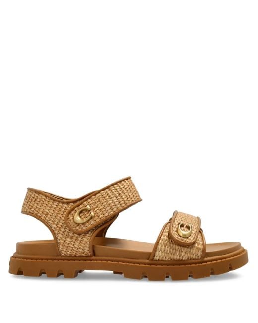 COACH Brown Sandals Brynn