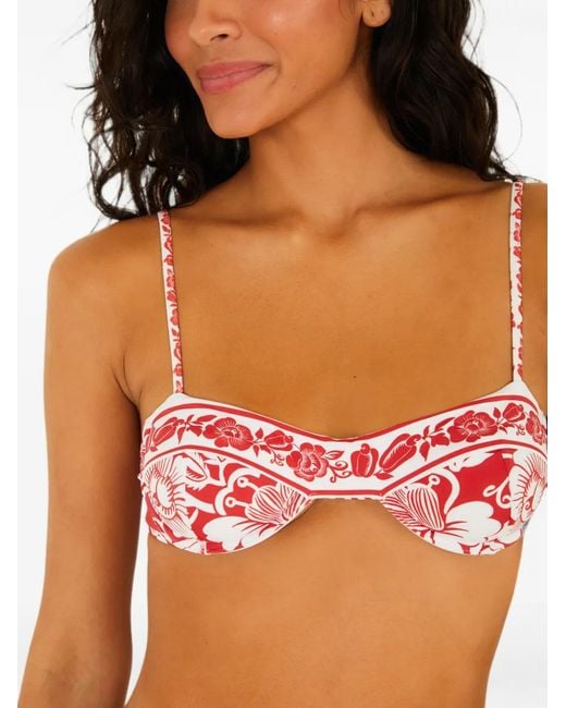 Farm Rio Orange Cashew And Birds Floral-Print Bikini Top