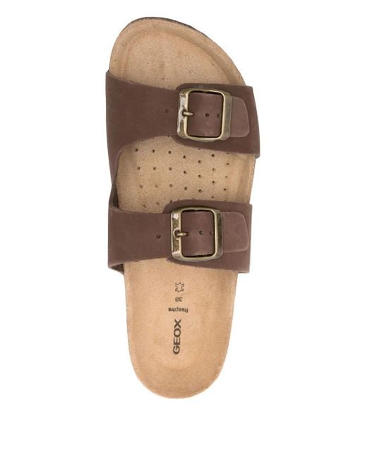 Slippers Brionia Con Doppia Fibbia di Geox in Brown