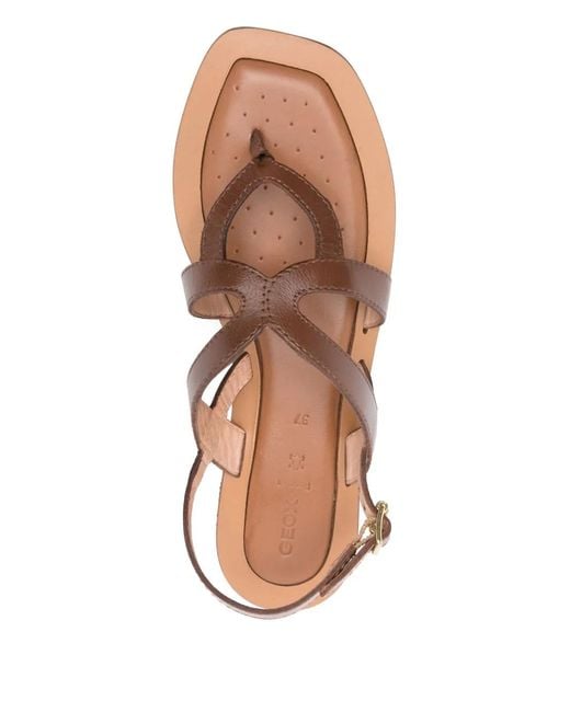 Geox Brown Sozy Leather Buckled Sandals