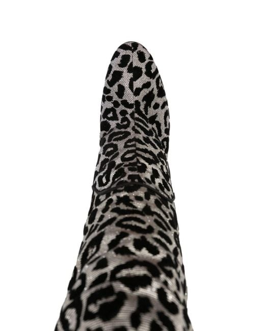 Stivali Cardinale leopardati jacquard 115mm di Dolce & Gabbana in Black