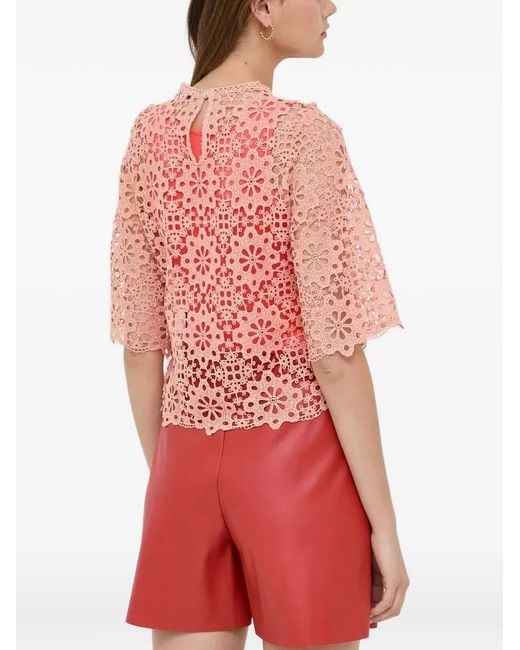 Morgan Red Lace Openwork Top