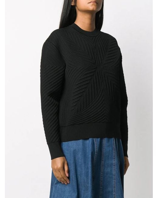 Alexander McQueen Sweaters Black