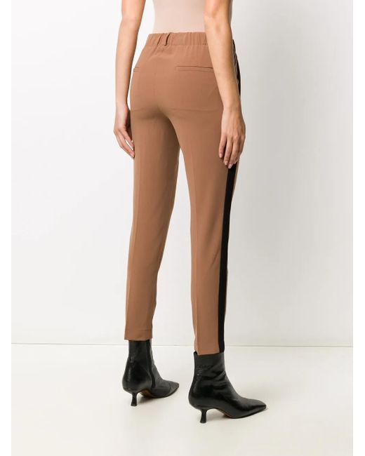 Blanca Vita Broek Met Zijstreep in het Brown