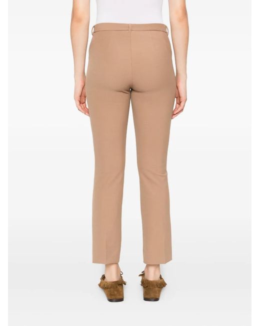 Max Mara Natural Humanity Clothing