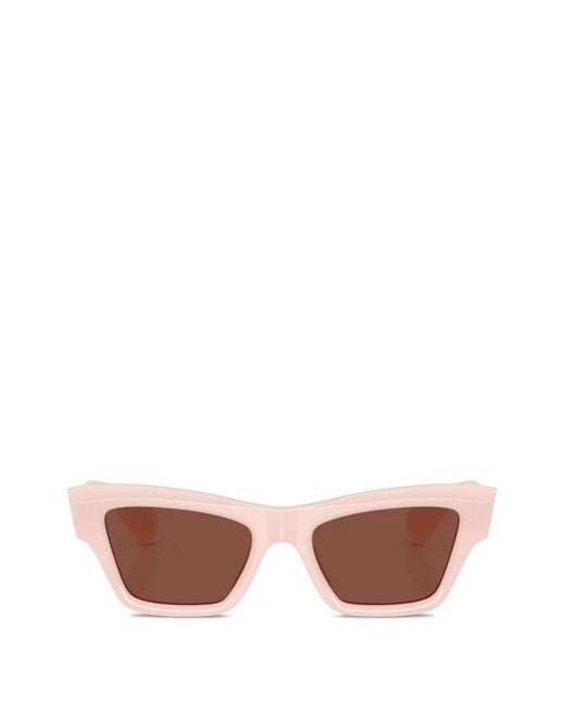 Oliver Peoples レディース ピンク Edition 3 サングラス 【公式通販】