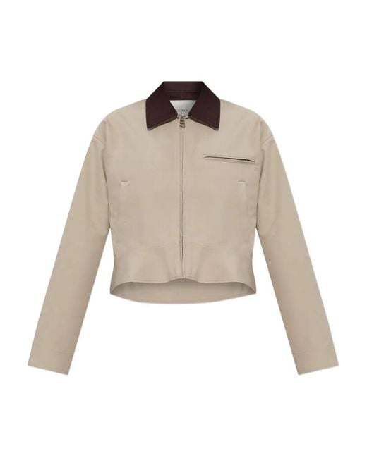 J.W. Anderson Natural Cotton Jacket
