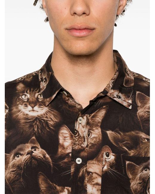 Daniele Alessandrini Brown Cat-print Shirt for men