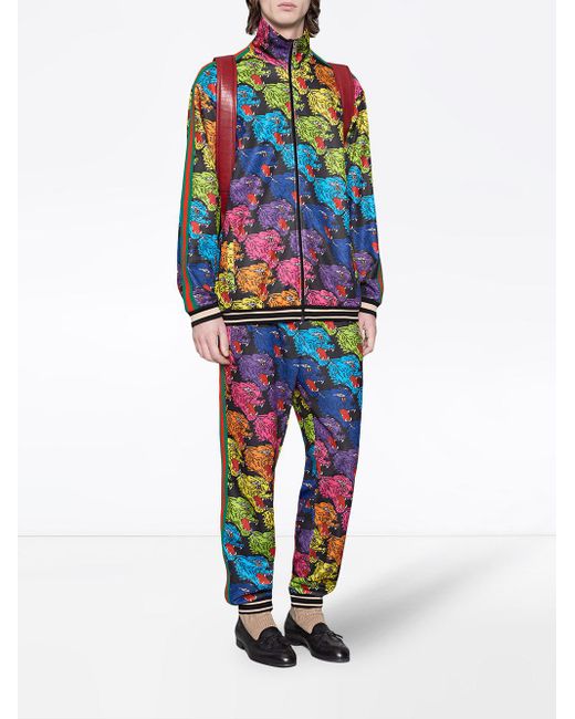 gucci rainbow tracksuit