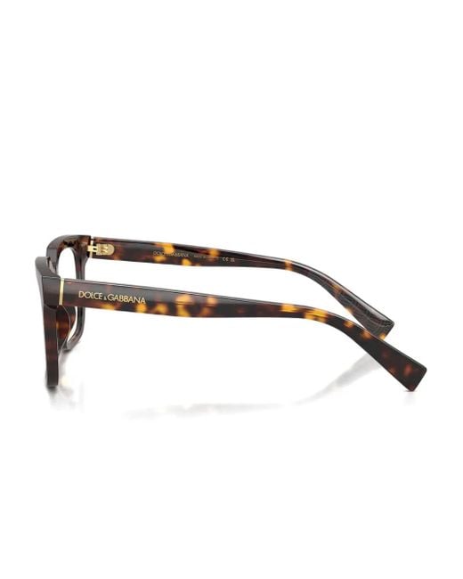 Dolce & Gabbana Brown Square-Frame Glasses for men