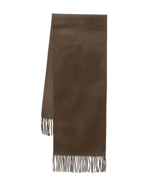 The Dynamis Studio Brown Fringe Wool Scarf