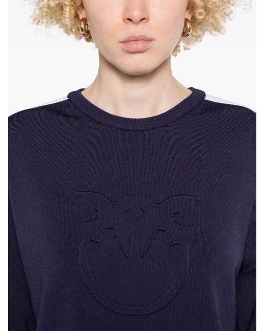 Pinko Blue Sweater With Stripe Detailing
