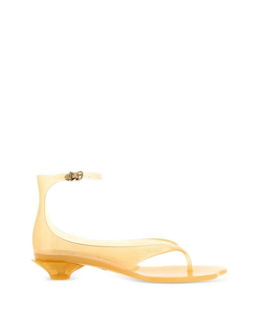 Chloé Multicolor 'chloé Jelly' Sandals