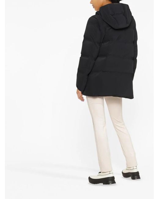 Herno Black Hooded Padded Coat