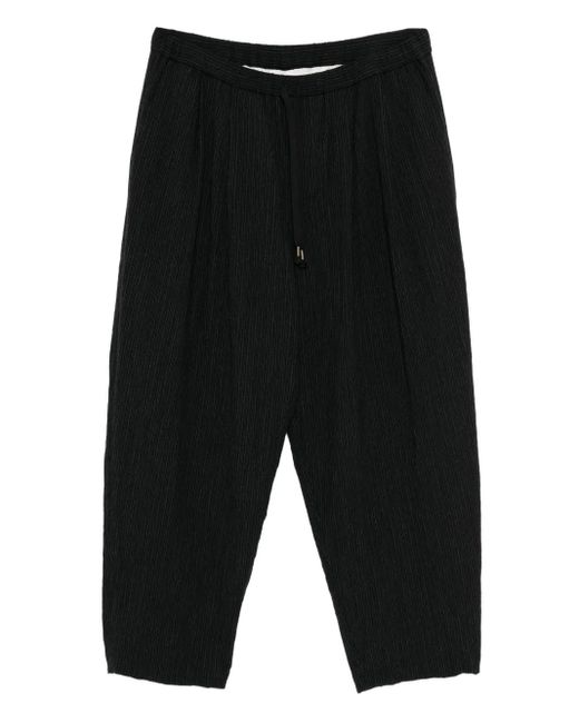 CALMLENCE Tapered-Hose mit Bundfalten in Black für Herren