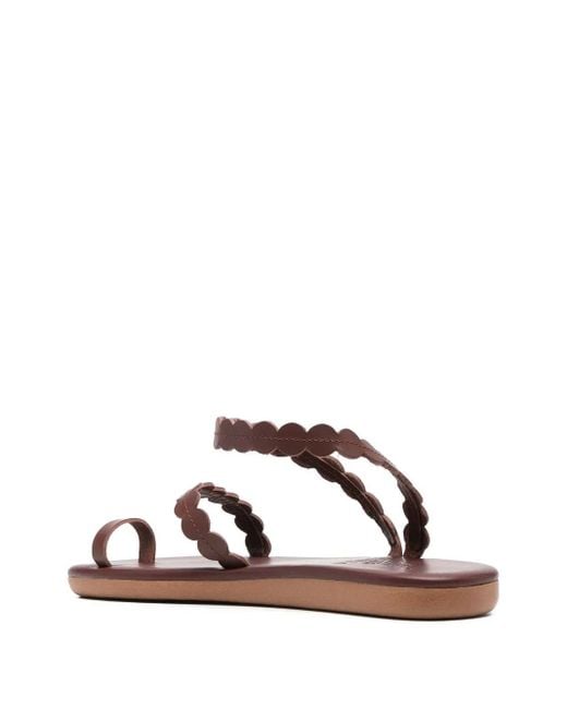 Ancient Greek Sandals Brown Multi-Strap Leather Sandals