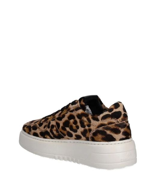 COPENHAGEN Brown Leopard-Print Sneakers