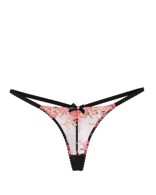 Agent Provocateur Lexx Floral-embroidered Sheer Thong in Natural