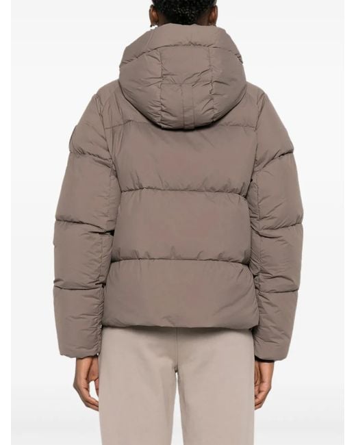 Veste Matelassée Junction À Col Montant Canada Goose en coloris Gray