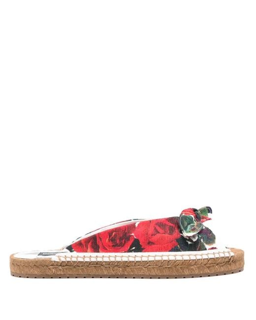 Dolce & Gabbana Brown Dg Logo Floral Canvas Sandal