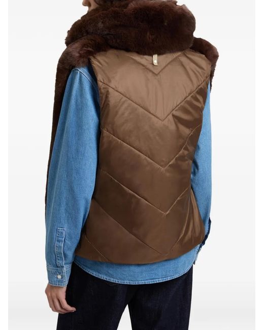 Woolrich Brown Hybrid Curly Vest