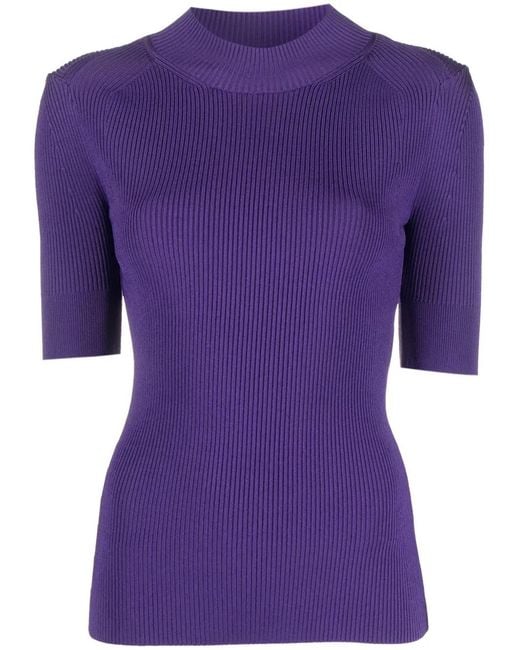 Stella McCartney Purple High-Neck Ribbed Top