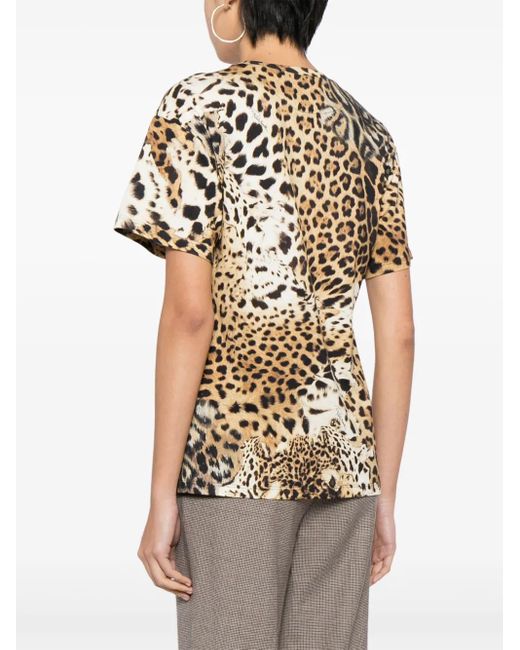 Roberto Cavalli Brown Leopard-Print Cotton T-Shirt
