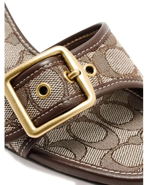 COACH Brown 55Mm Margot Buckle Heeled Sandals