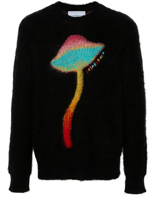 Pull Mushroom Casablanca pour homme en coloris Black