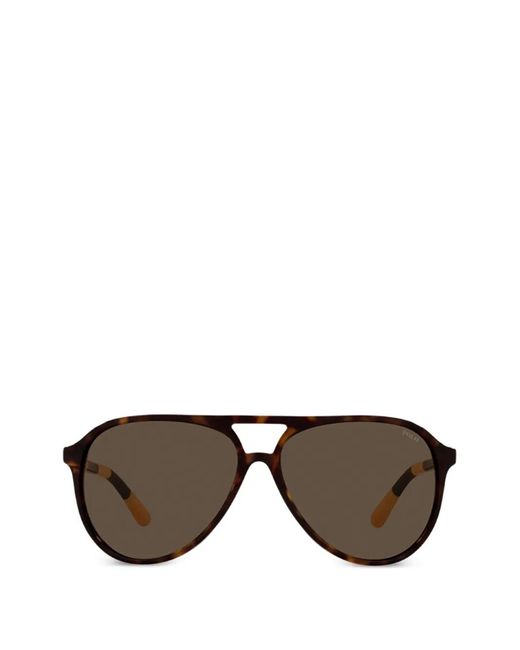 Polo Ralph Lauren Brown Pilot-Frame Sunglasses for men