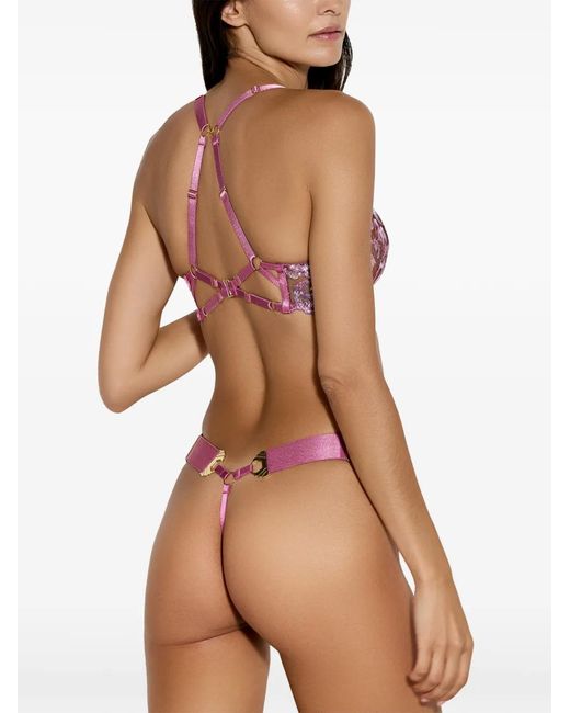 Bordelle Purple Siren Floral Bra