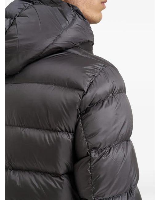 Colmar Black Padded Hooded Jacket for men