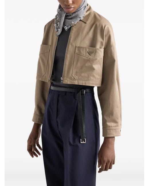 Prada Natural Chino Blouson Jacket