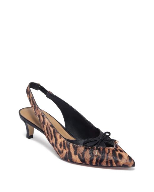 Bernardo Brown Misha Bow Pumps