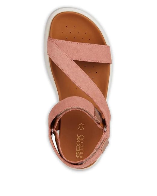 Geox Brown Suede Flat Sandals