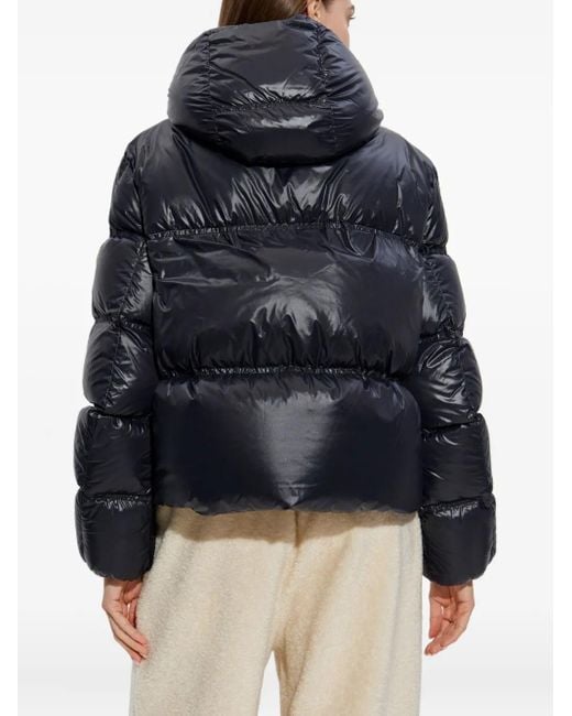 Moncler Blue Coats