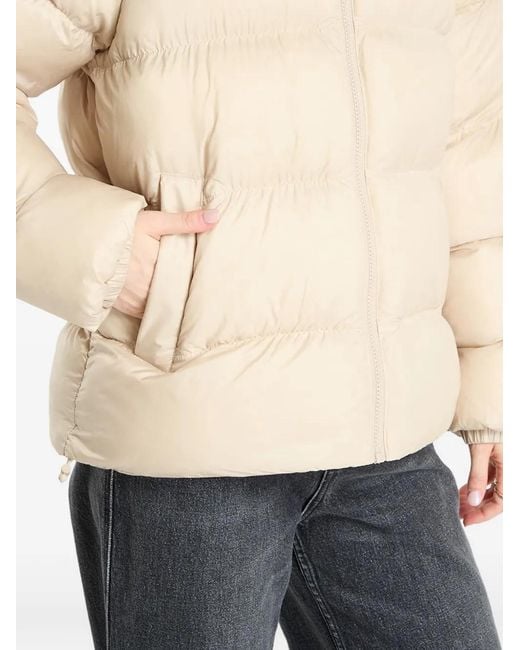 Adidas Natural Adicolor Jacket