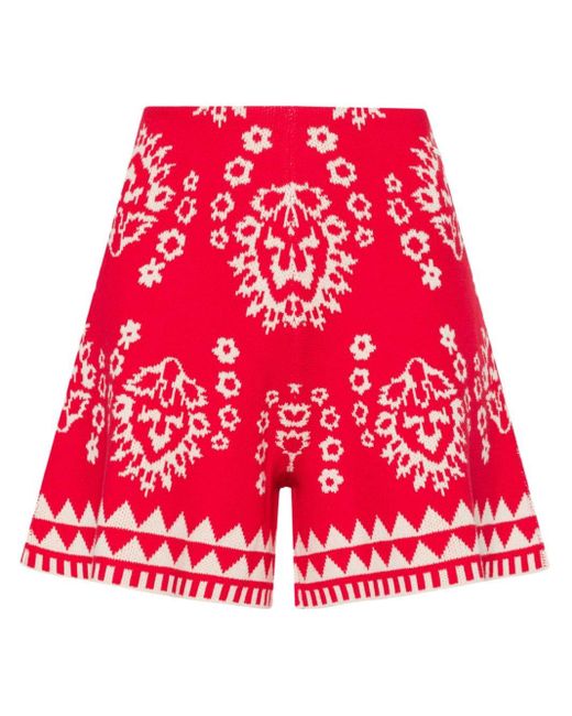 Liu Jo Red Intarsia-knit Shorts