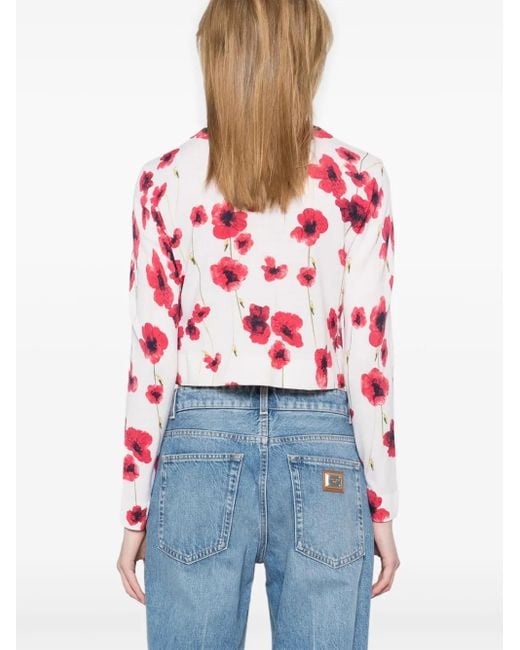 Max Mara Dream カーディガン Red