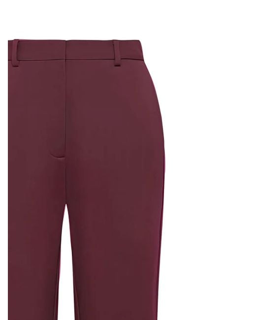 Maliparmi Purple Belt-Loop Trousers